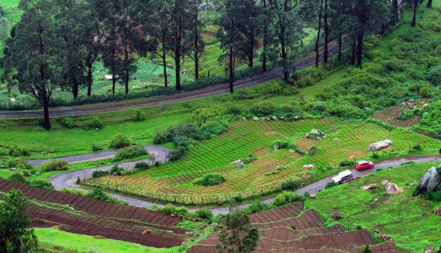 11 Must Visit Hill Stations in South India